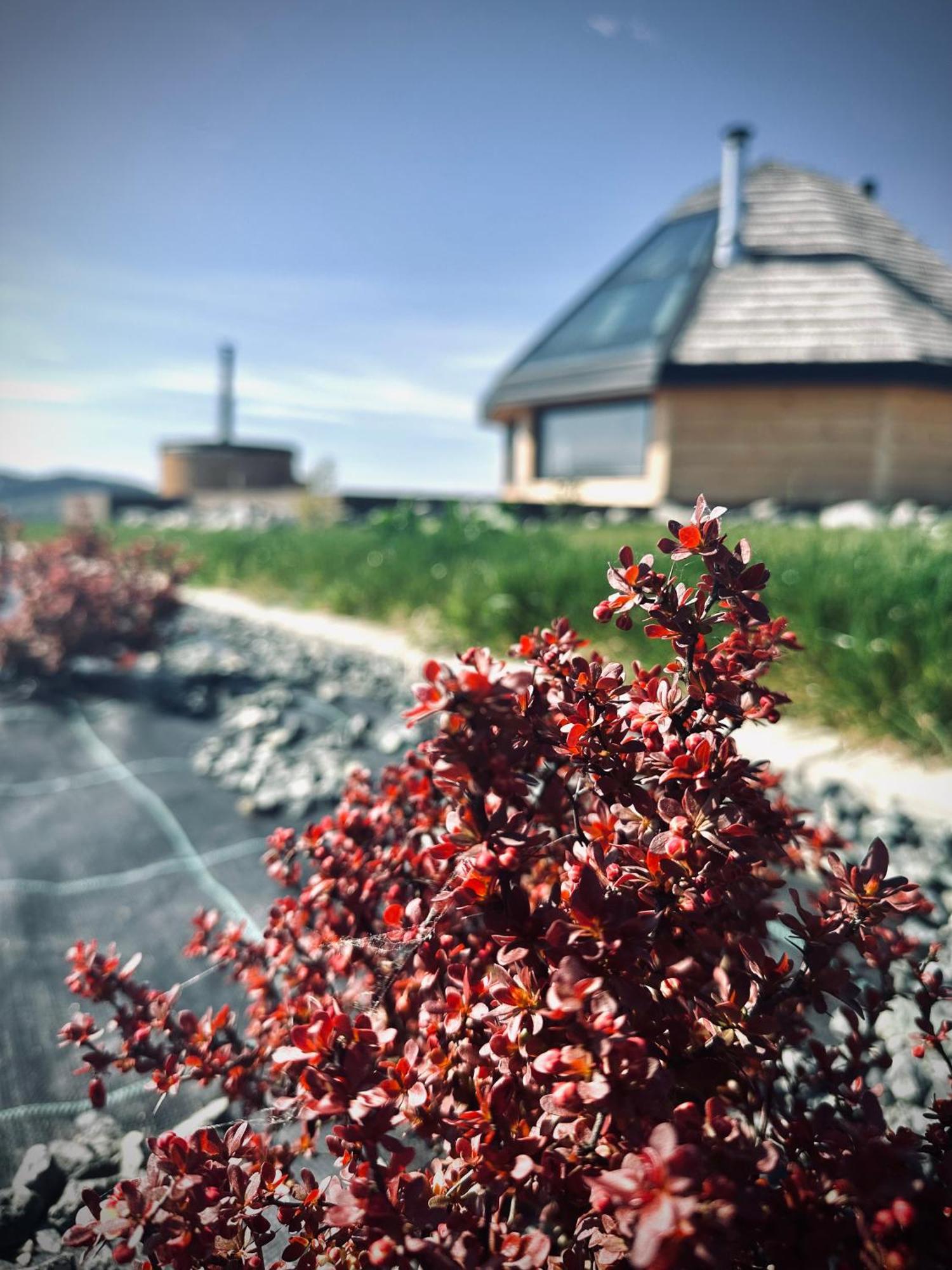 Heavenly Houses - Niebianskie Domki Явожинка Экстерьер фото